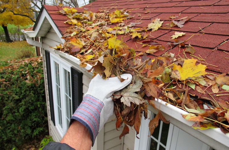 Roof and Gutter Maintenance
